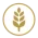 Gluten